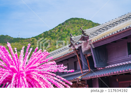 美濃まつり、うだつの上がる町並みを練り歩く花みこし〈岐阜県美濃市〉 美濃まつり、うだつの上がる町並みを練り歩く花みこし〈岐阜県美濃市〉 117634192
