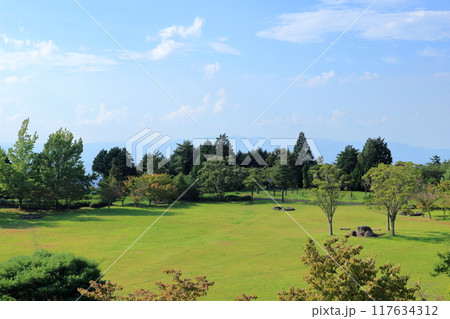 緑豊かな広い公園 緑豊かな広い公園 117634312