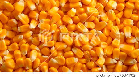 Peeled corn cob, yellow seeds, top view - AI generated image 117634702