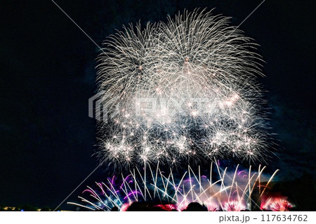 【新潟・長岡】復興祈願花火フェニックスなど超大型花火、長岡まつり大花火大会。間近で楽しみました。 117634762