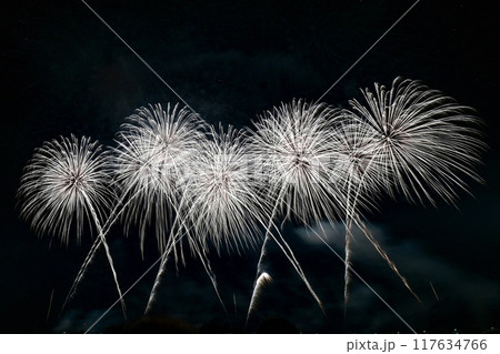 【新潟・長岡】復興祈願花火フェニックスなど超大型花火、長岡まつり大花火大会。間近で楽しみました。 117634766