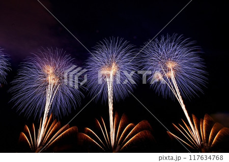 【新潟・長岡】復興祈願花火フェニックスなど超大型花火、長岡まつり大花火大会。間近で楽しみました。 【新潟・長岡】復興祈願花火フェニックスなど超大型花火、長岡まつり大花火大会。間近で楽しみました。 117634768
