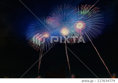 【新潟・長岡】復興祈願花火フェニックスなど超大型花火、長岡まつり大花火大会。間近で楽しみました。 【新潟・長岡】復興祈願花火フェニックスなど超大型花火、長岡まつり大花火大会。間近で楽しみました。 117634774