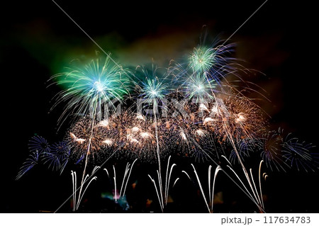 【新潟・長岡】復興祈願花火フェニックスなど超大型花火、長岡まつり大花火大会。間近で楽しみました。 【新潟・長岡】復興祈願花火フェニックスなど超大型花火、長岡まつり大花火大会。間近で楽しみました。 117634783