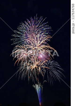 【新潟・長岡】復興祈願花火フェニックスなど超大型花火、長岡まつり大花火大会。間近で楽しみました。 117634788