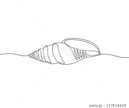 Sea shell in continuous line art drawing style. Hand drawn vector illustration. Minimalist black linear sketch isolated on white background. Sea shell in continuous line art drawing style. Hand drawn vector illustration. Minimalist black linear sketch isolated on white background. 117634829