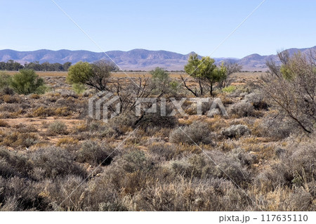 Mountains in the Australian Outback Mountains in the Australian Outback 117635110
