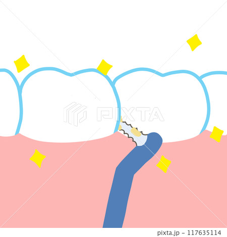 歯間ブラシで歯の間をキレイに磨いているイラスト 117635114