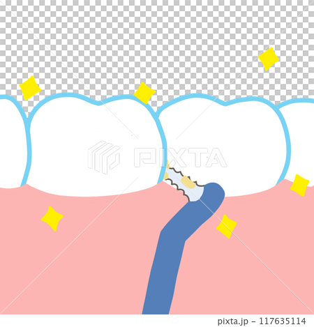 歯間ブラシで歯の間をキレイに磨いているイラスト 117635114