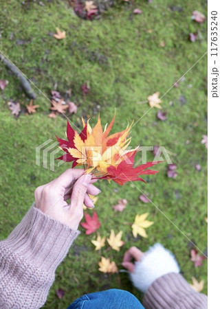 紅葉探し 紅葉探し 117635240