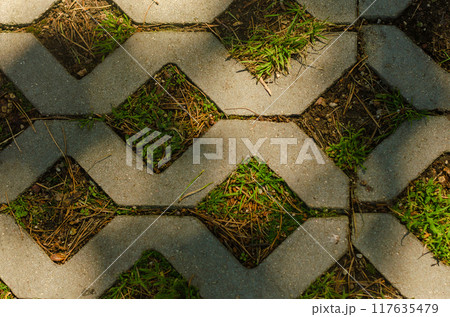 a background texture of a concrete floor. High quality photo a background texture of a concrete floor. High quality photo 117635479