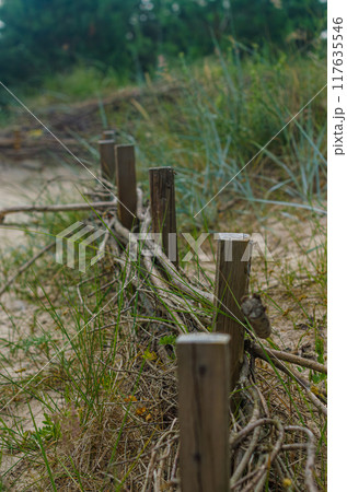 Here is a sandy beach dune, with a wooden fence along to grass. High quality photo Here is a sandy beach dune, with a wooden fence along to grass. High quality photo 117635546