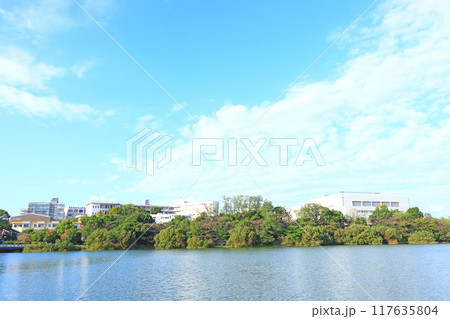 愛知県大府市、至学館大学の風景 117635804