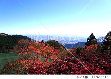 大山阿夫利神社下社からの眺望 117636517