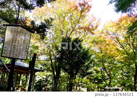 大山八犬坊 117636521