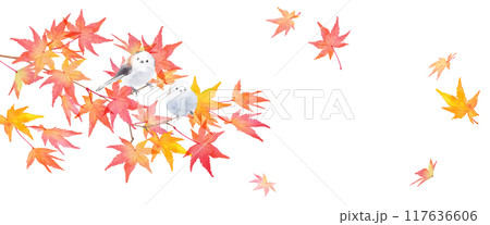 赤く色づいた秋のモミジの枝と野鳥（エナガ）の水彩イラスト。バナー背景。日本スタイル（ベクター） 117636606