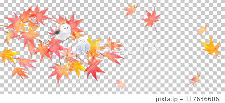 赤く色づいた秋のモミジの枝と野鳥（エナガ）の水彩イラスト。バナー背景。日本スタイル（ベクター） 117636606