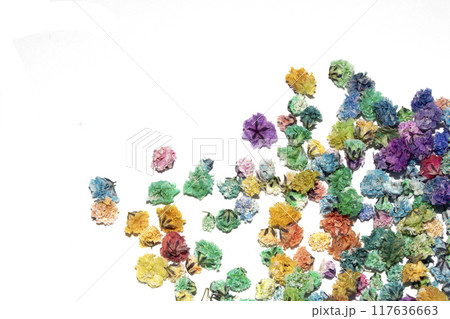 Pretty Floral Small Flowers Babies Breath On White Background for Weddings or Design 117636663