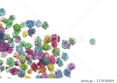 Pretty Floral Small Flowers Babies Breath On White Background for Weddings or Design 117636664