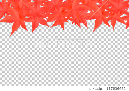 Red autumn leaves frame 117636682