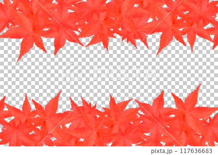 紅葉的上下框① 117636683