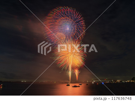 夏の夜空を彩る華麗な花火 夏の夜空を彩る華麗な花火 117636748
