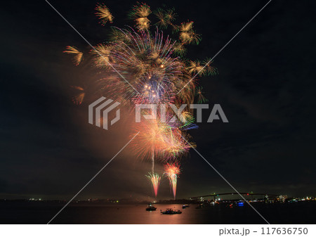 夏の夜空を彩る華麗な花火 117636750