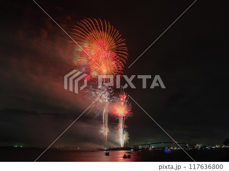 夏の夜空を彩る華麗な花火 夏の夜空を彩る華麗な花火 117636800