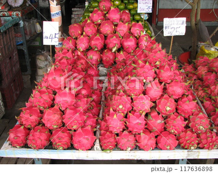ドラゴンフルーツ ドラゴンフルーツ 117636898