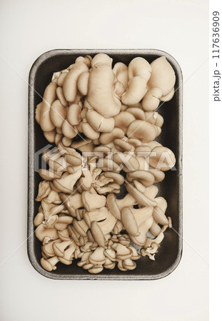 Pleurotus ostreatus. Edible mushrooms in a package. 117636909