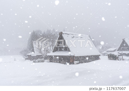 雪降る五箇山 菅沼合掌造り集落　 117637007