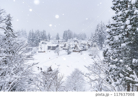 雪降る五箇山 相倉合掌造り集落 雪降る五箇山 相倉合掌造り集落 117637008