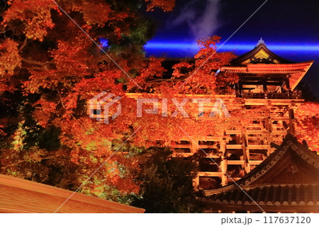 清水寺(京都市東山区)庭園の紅葉 清水寺(京都市東山区)庭園の紅葉 117637120