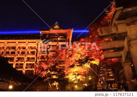 清水寺（京都市東山区）庭園の紅葉 117637121