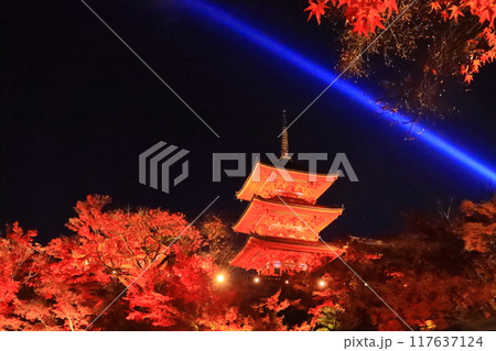 清水寺（京都市東山区）庭園の紅葉 117637124