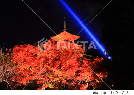 清水寺(京都市東山区)庭園の紅葉 清水寺(京都市東山区)庭園の紅葉 117637125