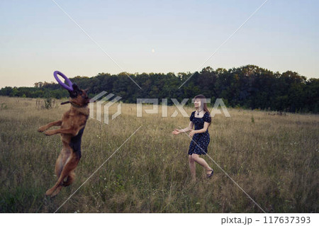 two women play in the field with a german shepherd dog toy at sunset 117637393