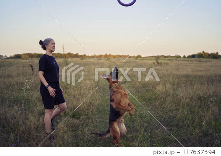 two women play in the field with a german shepherd dog toy at sunset 117637394