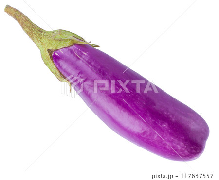 Eggplant or aubergine vegetable isolated on white background Eggplant or aubergine vegetable isolated on white background 117637557