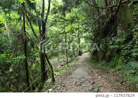 深谷龍鎮渓谷・龍鎮神社【奈良県宇陀市】 117637629