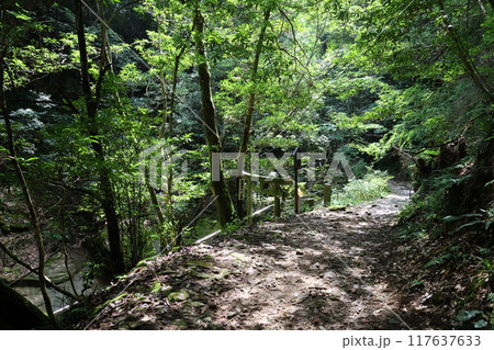 深谷龍鎮渓谷・龍鎮神社【奈良県宇陀市】 117637633