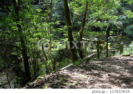 深谷龍鎮渓谷・龍鎮神社【奈良県宇陀市】 117637634