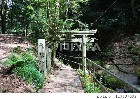 深谷龍鎮渓谷・龍鎮神社【奈良県宇陀市】 117637635