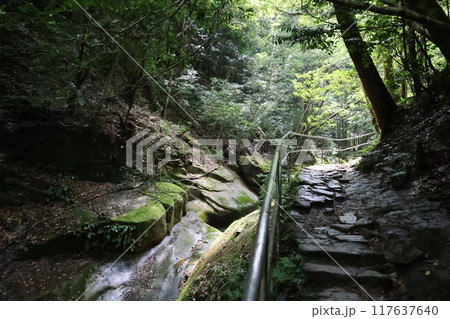 深谷龍鎮渓谷・龍鎮神社【奈良県宇陀市】 深谷龍鎮渓谷・龍鎮神社【奈良県宇陀市】 117637640