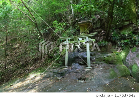 深谷龍鎮渓谷・龍鎮神社【奈良県宇陀市】 117637645