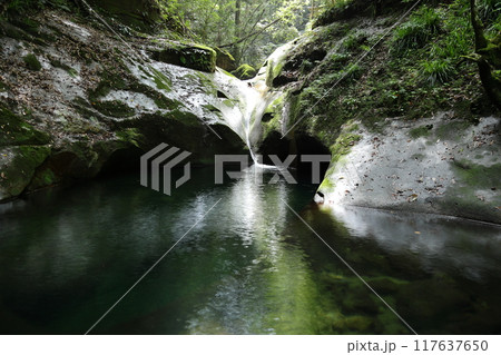 深谷龍鎮渓谷・龍鎮神社 / 龍鎮の滝【奈良県宇陀市】 深谷龍鎮渓谷・龍鎮神社 / 龍鎮の滝【奈良県宇陀市】 117637650