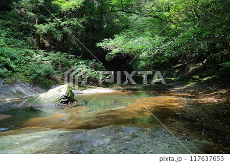 深谷龍鎮渓谷・龍鎮神社【奈良県宇陀市】 117637653