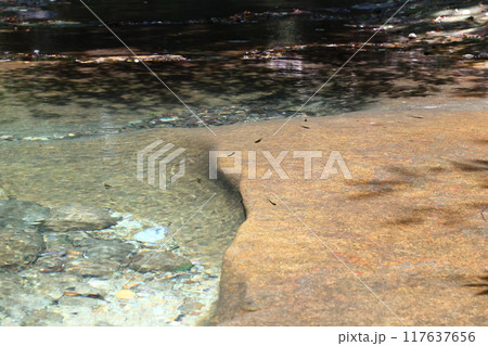 深谷龍鎮渓谷・龍鎮神社【奈良県宇陀市】 深谷龍鎮渓谷・龍鎮神社【奈良県宇陀市】 117637656