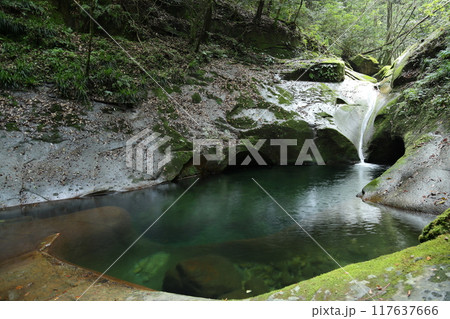 深谷龍鎮渓谷・龍鎮神社 / 龍鎮の滝【奈良県宇陀市】 深谷龍鎮渓谷・龍鎮神社 / 龍鎮の滝【奈良県宇陀市】 117637666
