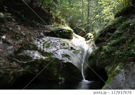 深谷龍鎮渓谷・龍鎮神社 / 龍鎮の滝【奈良県宇陀市】 深谷龍鎮渓谷・龍鎮神社 / 龍鎮の滝【奈良県宇陀市】 117637676